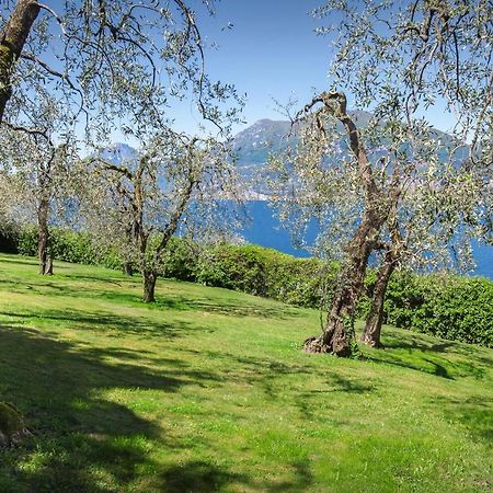 Villa Dismero-Un Oasi Di Lusso E Privacy เบรนโซเน ซูล การ์ดา ภายนอก รูปภาพ