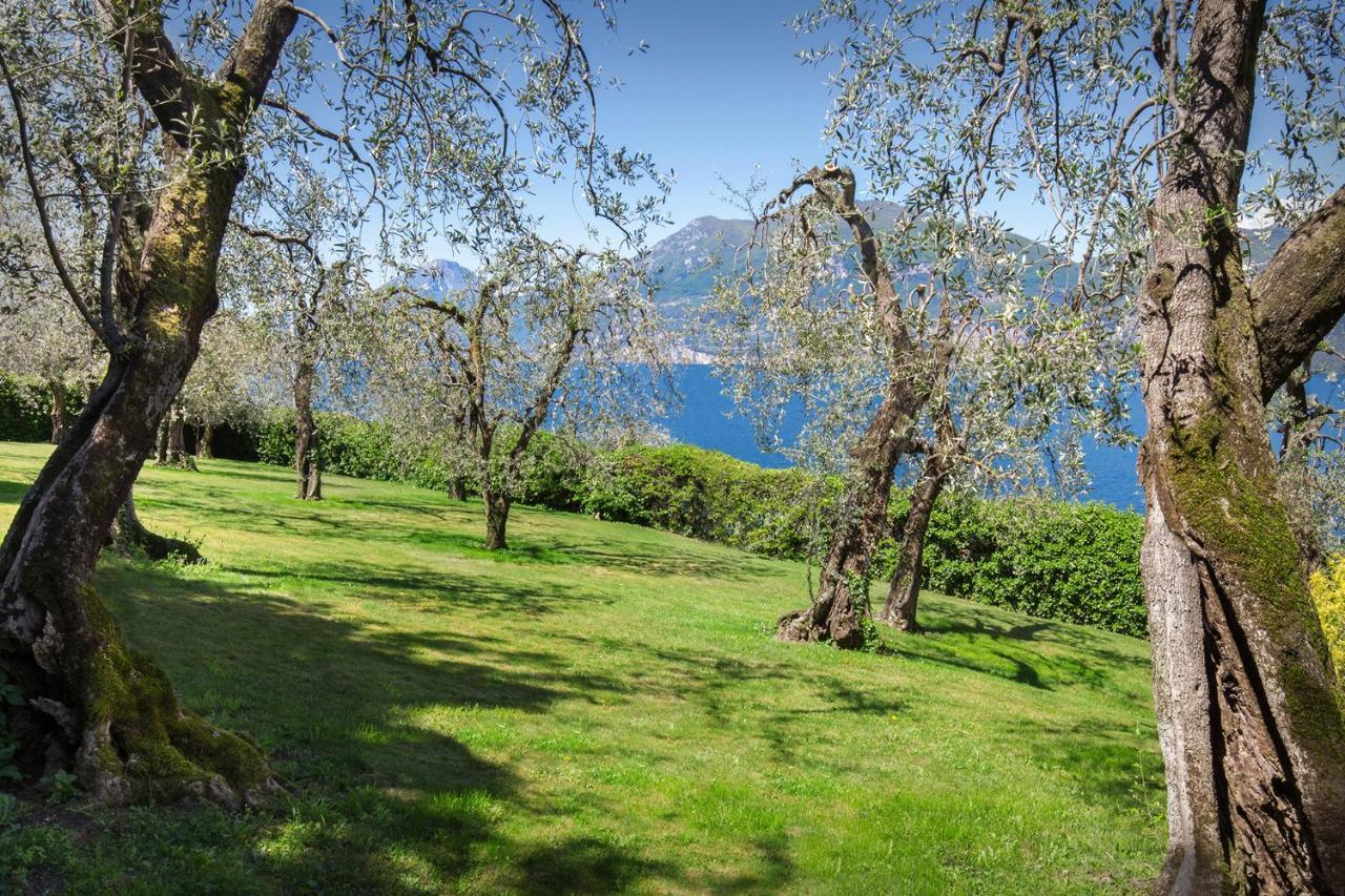 Villa Dismero-Un Oasi Di Lusso E Privacy เบรนโซเน ซูล การ์ดา ภายนอก รูปภาพ
